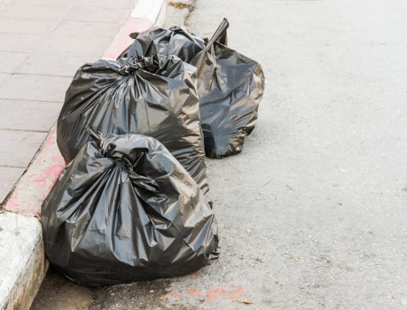 Professional waste removal service in action