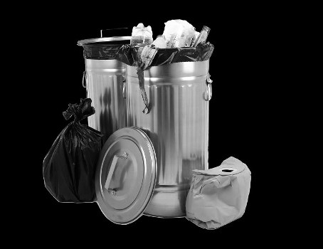 Sustainable waste removal practices in Ealing